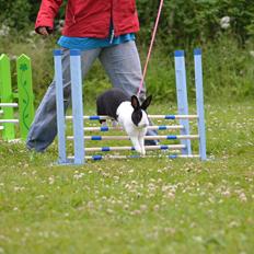 Kanin Surprise Chiaka