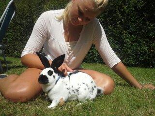 Kanin Engelsk Schecke renracet- Nuser. billede 10