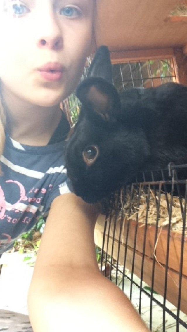 Kanin Mysterious Flashback billede 11