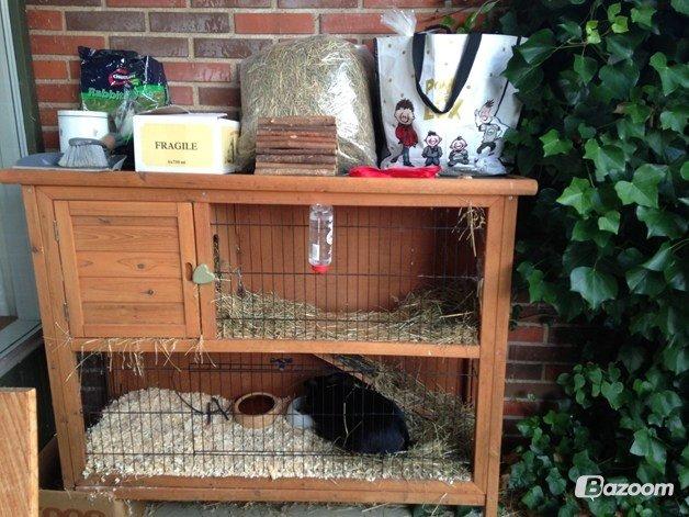 Kanin Mysterious Flashback billede 12