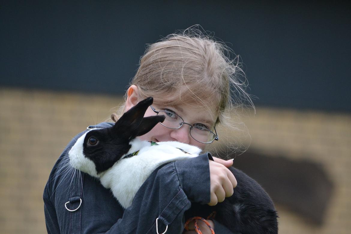 Kanin Surprise Chiaka - Ja, jeg gemmer mig for kameraet ;) billede 7