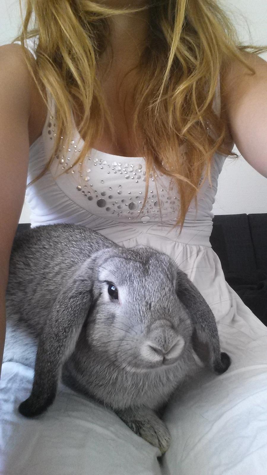 Kanin Har stadig intet billede 3