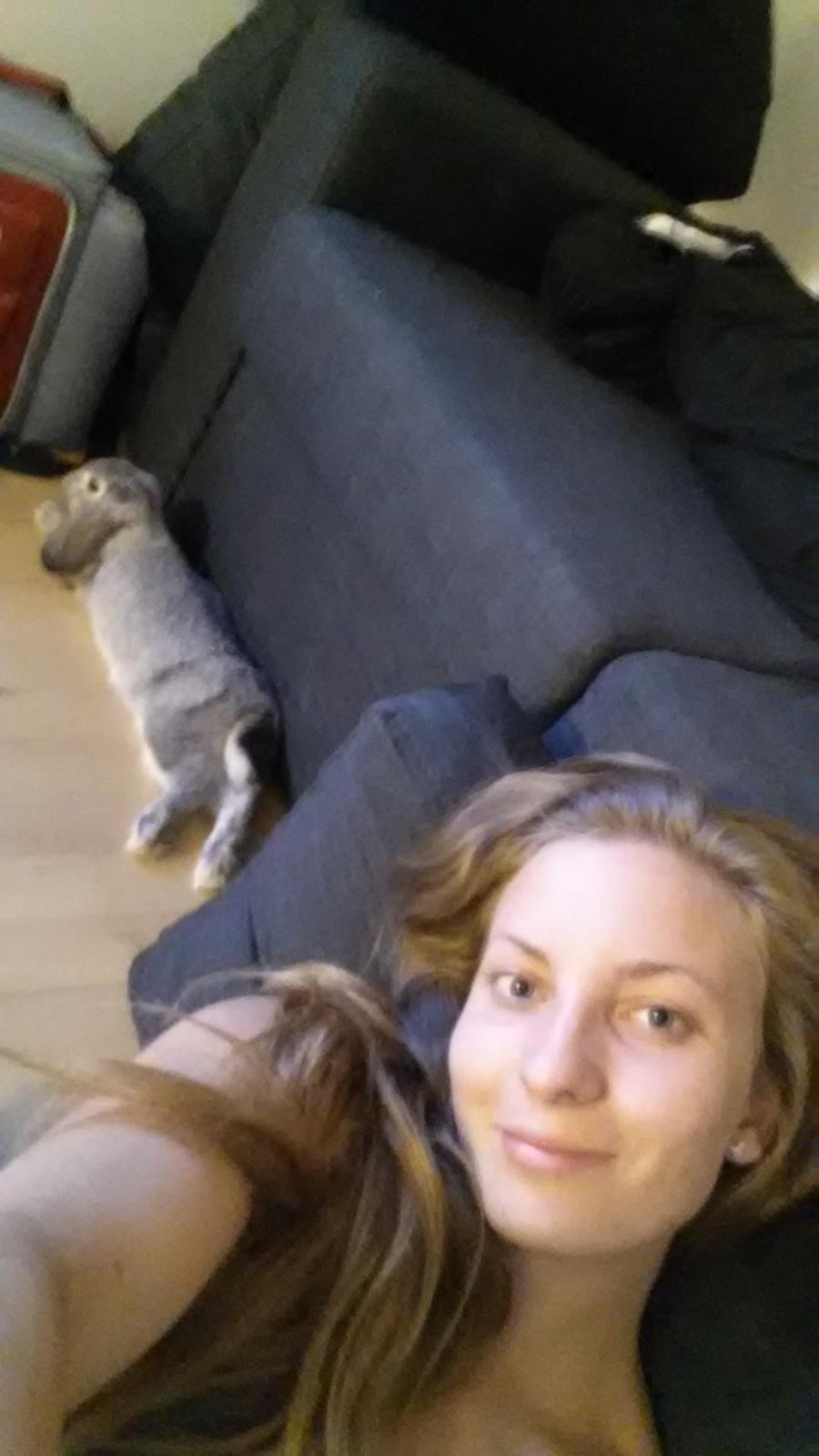 Kanin Har stadig intet billede 14