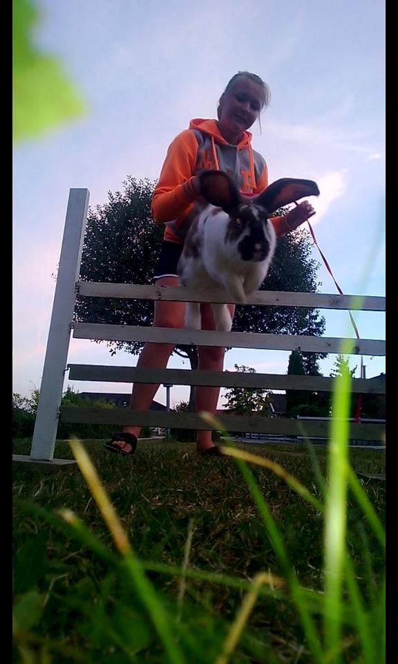 Kanin Thara<3<3<3 billede 1