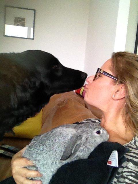 Kanin Keld billede 4