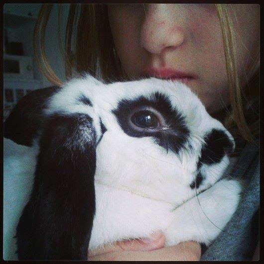 Kanin Stampe<3 - Du var så sød da du faldte i søvn i mine arme :) <3 billede 10