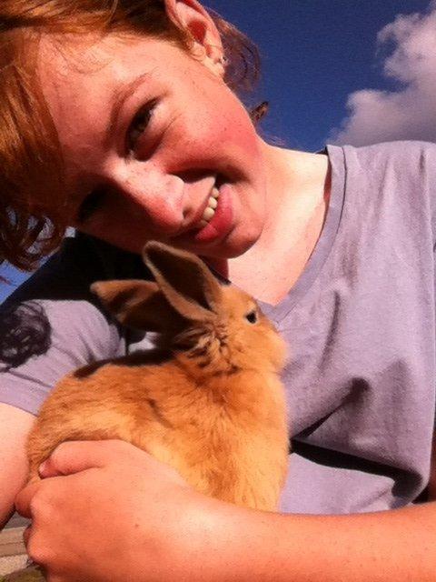 Kanin Sniffe billede 11