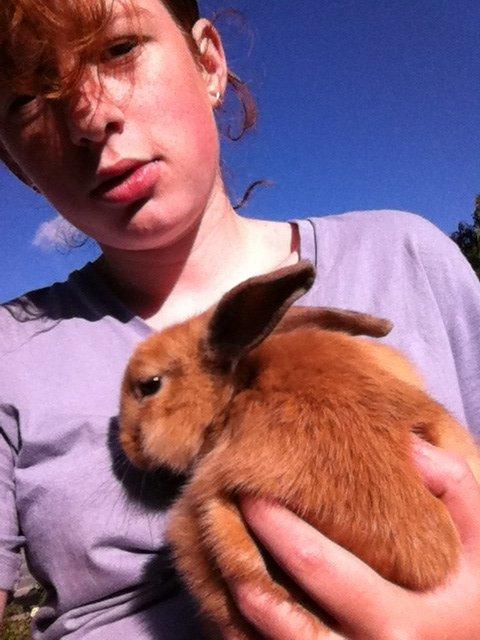 Kanin Sniffe billede 14