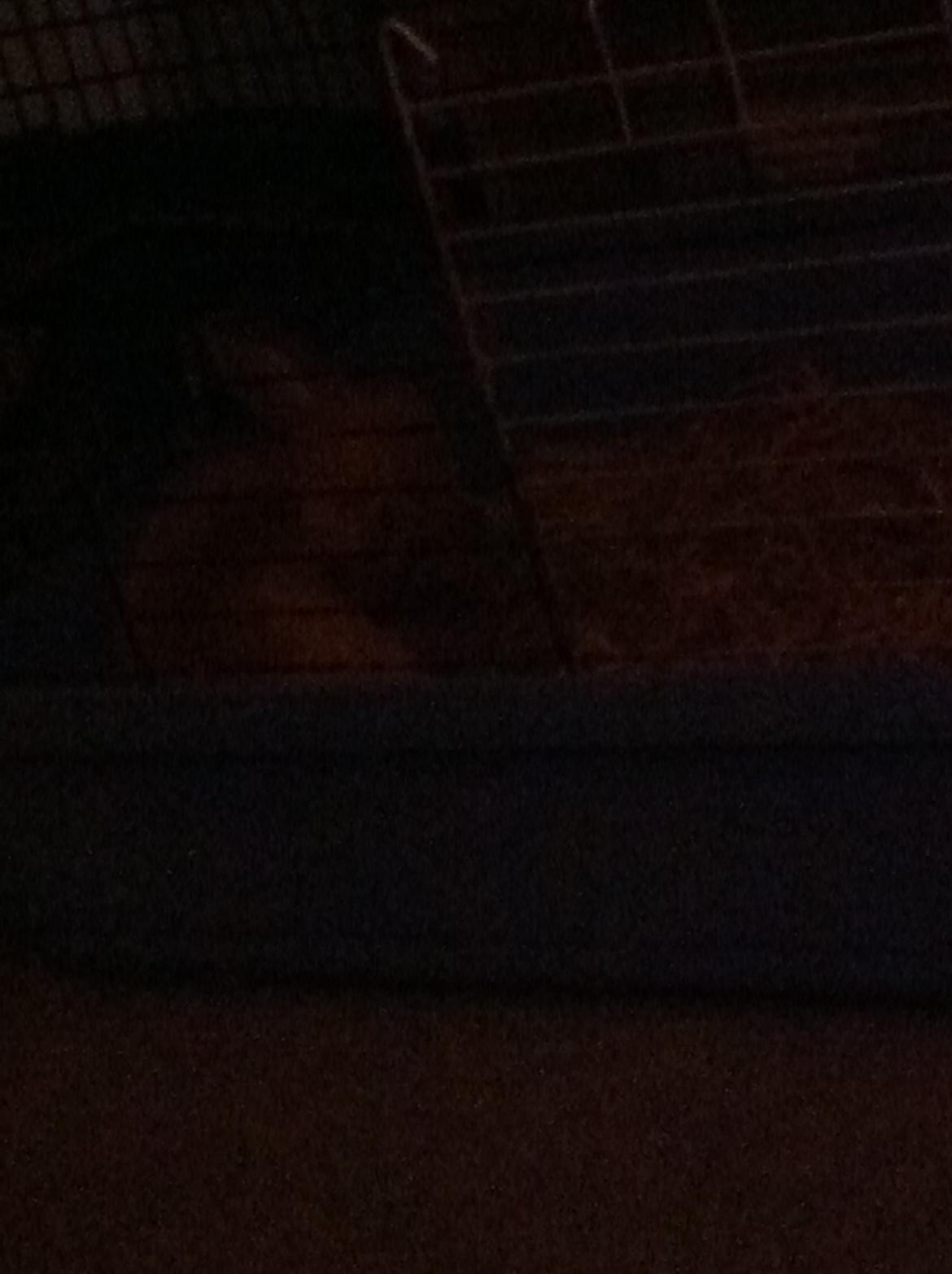 Kanin Sniffe billede 17