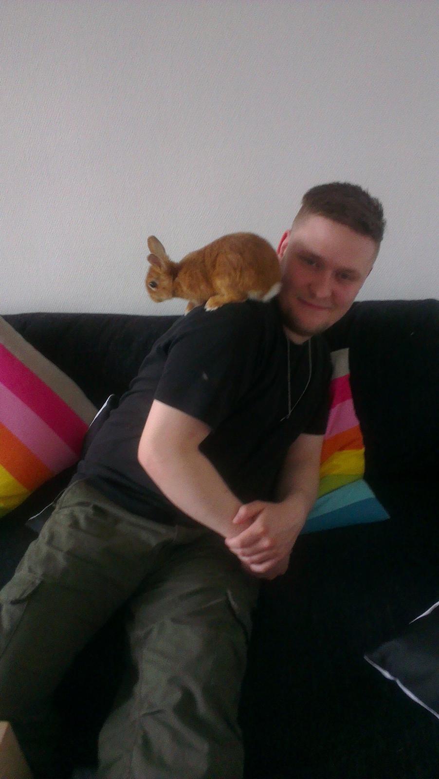 Kanin Luke billede 14