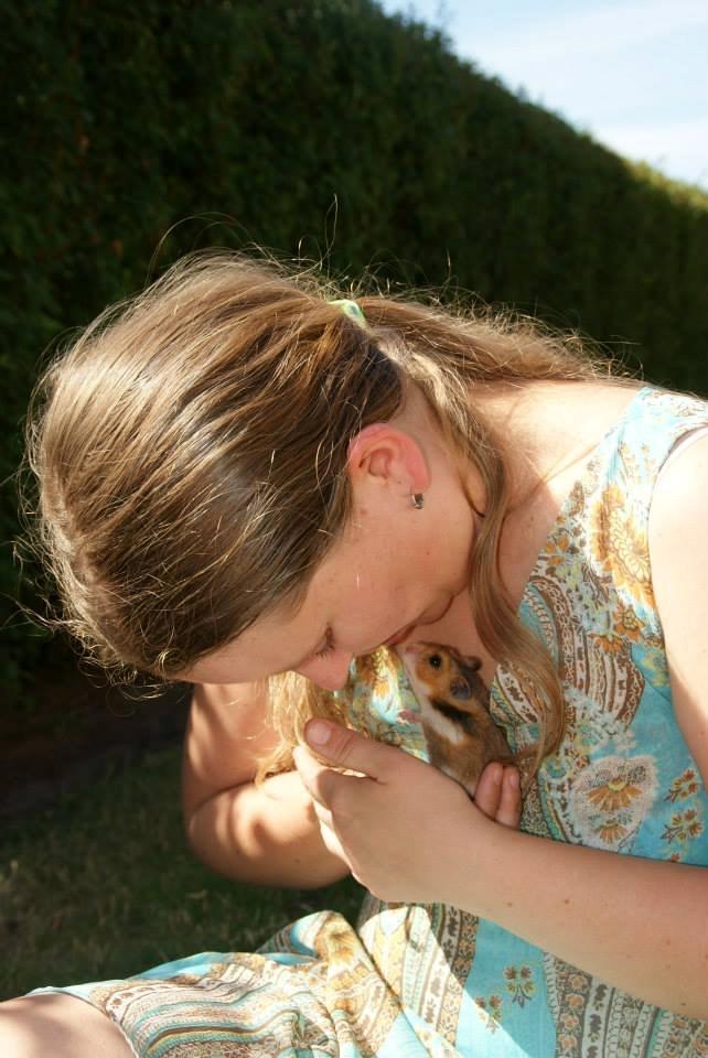 Hamster Champ. Lindes Reykjavik billede 1