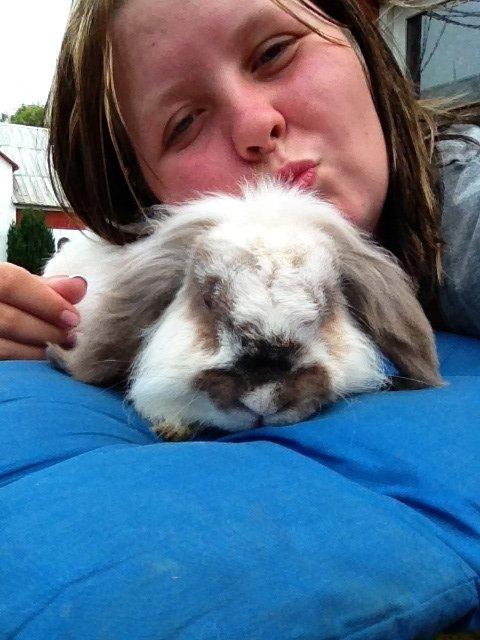 Kanin Snoopie billede 8