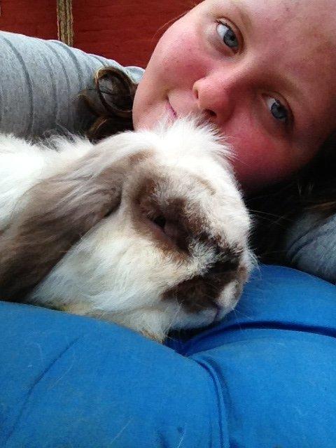 Kanin Snoopie billede 10