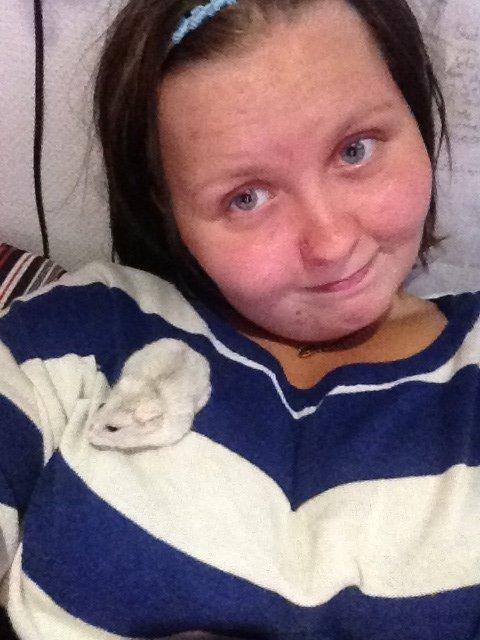 Dværghamster Snuske billede 7