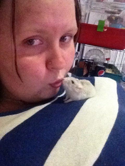 Dværghamster Snuske billede 8