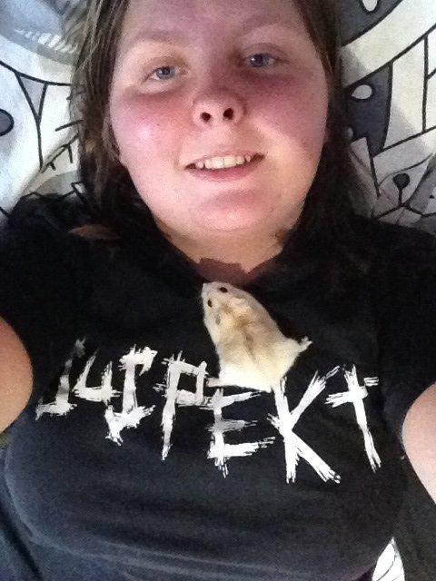 Dværghamster Chippi billede 10