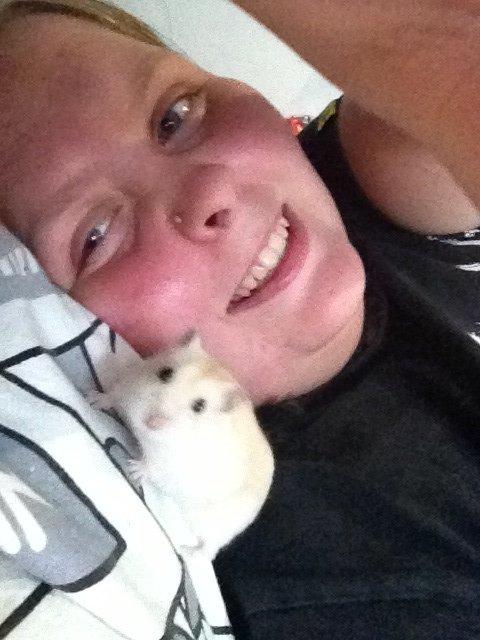 Dværghamster Chippi billede 12