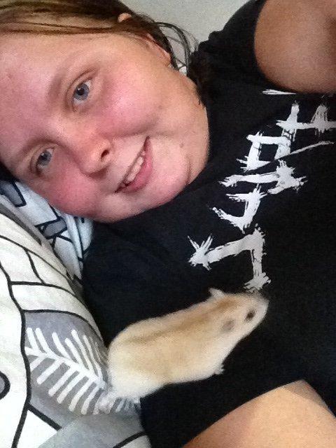 Dværghamster Chippi billede 13