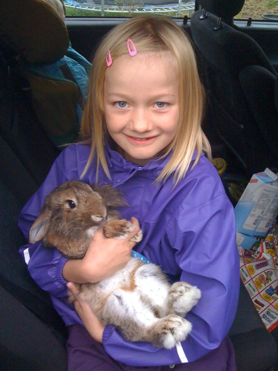 Kanin Avonako (Max) billede 6