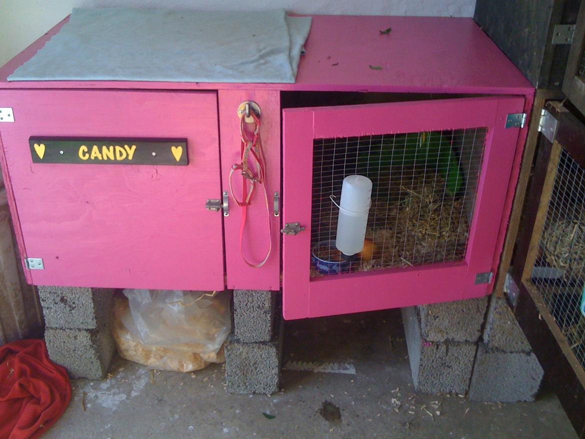 Kanin Candy billede 4