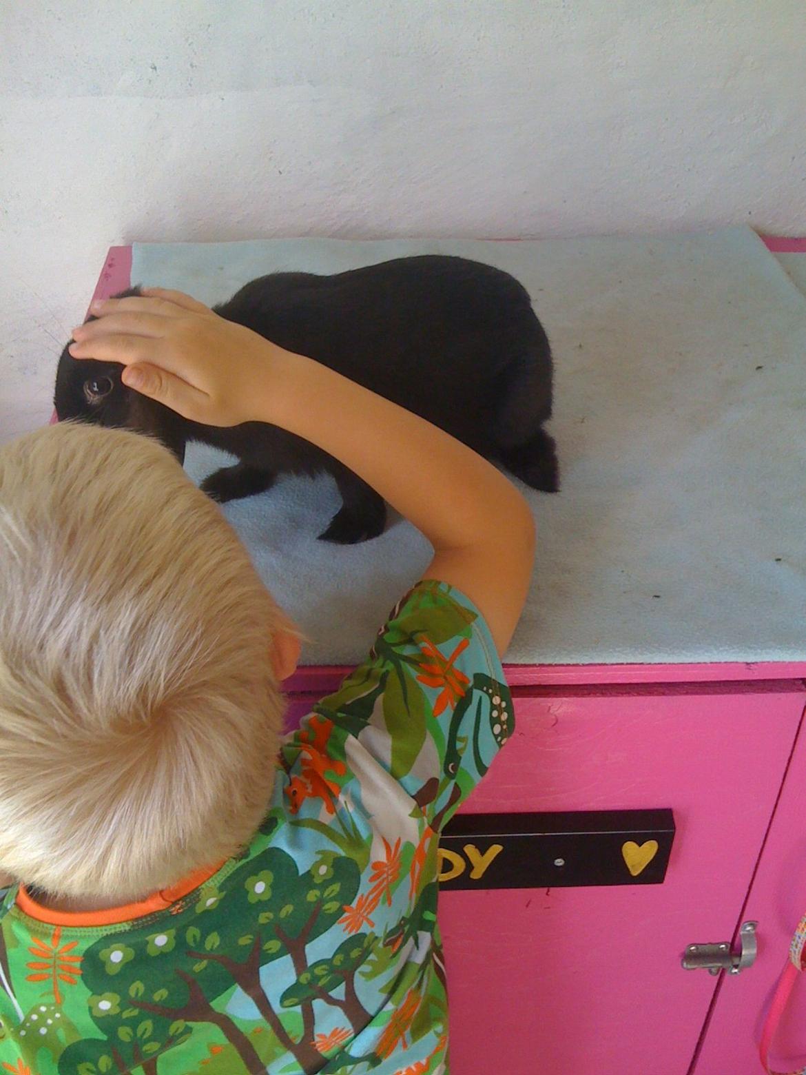 Kanin Candy billede 6