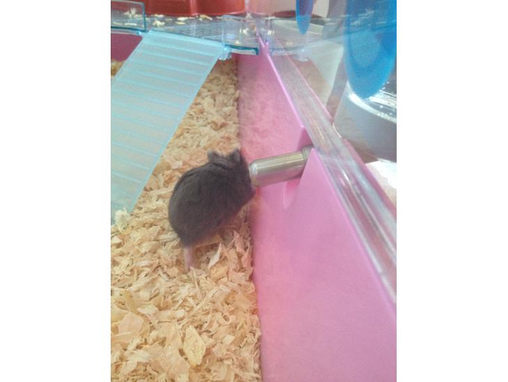 {{currentPhoto.altText}} billede {{currentPhoto.number}}