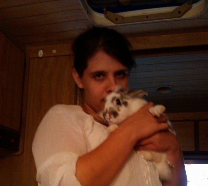 Kanin Hansi billede 5