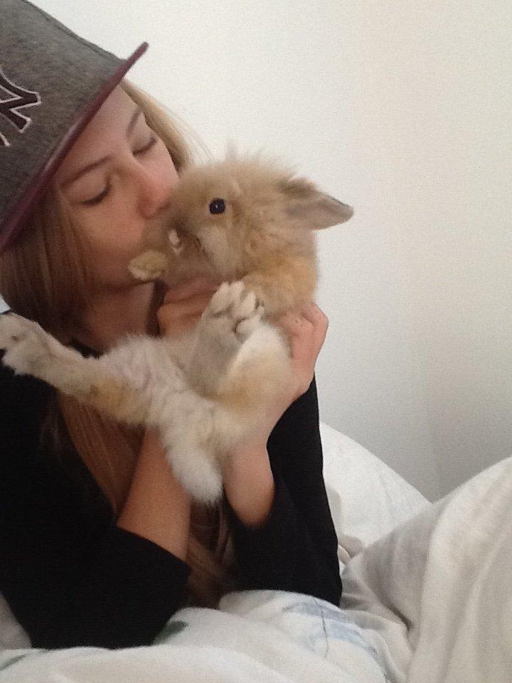 Kanin Arthur billede 12