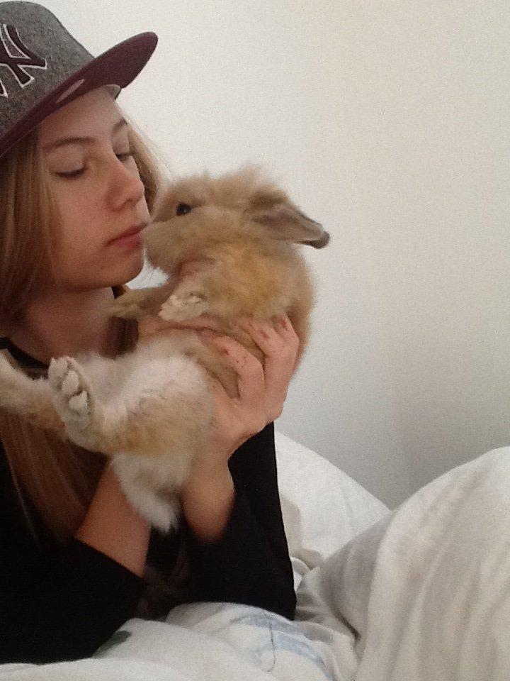 Kanin Arthur billede 14