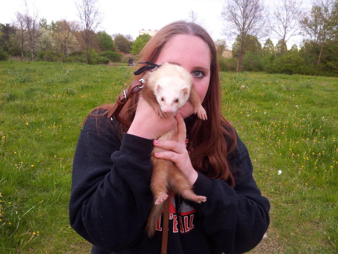 Ilder Sascha billede 10