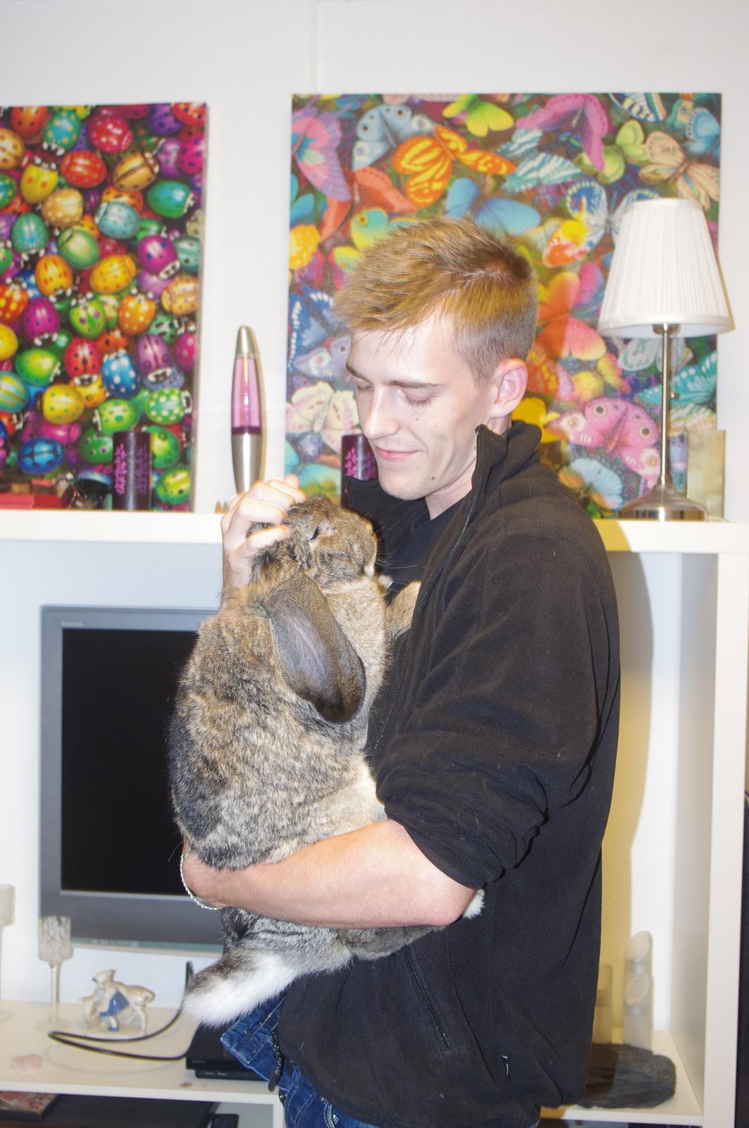 Kanin Mundo Fransk vædder - Mundo er ved at lære, man ikke dør når man bliver løftet billede 11