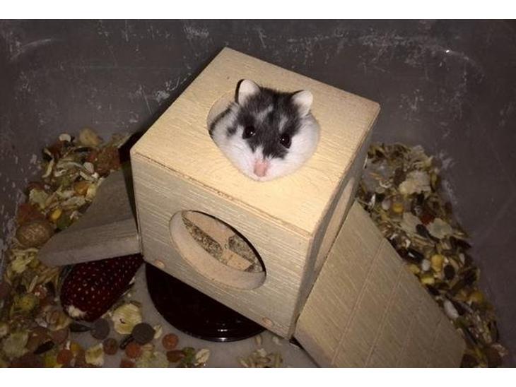 {{currentPhoto.altText}} billede {{currentPhoto.number}}