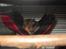 Hamster Malthes Swinger John