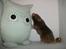Hamster Gris [tidligere gnaver]