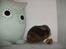 Hamster Gris [tidligere gnaver]