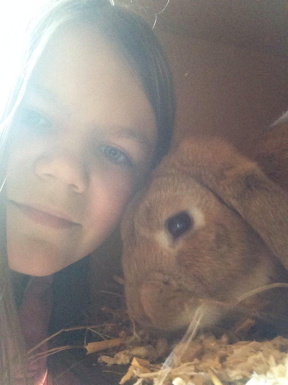 Kanin Askelunds Aius Cupido billede 5