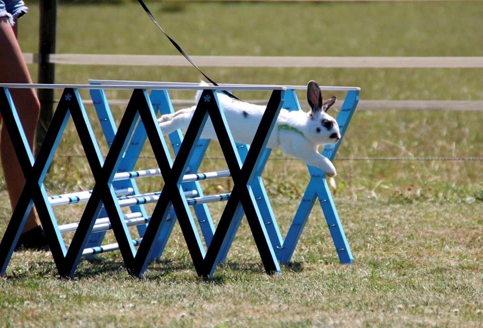 Kanin Winds Giyan billede 17