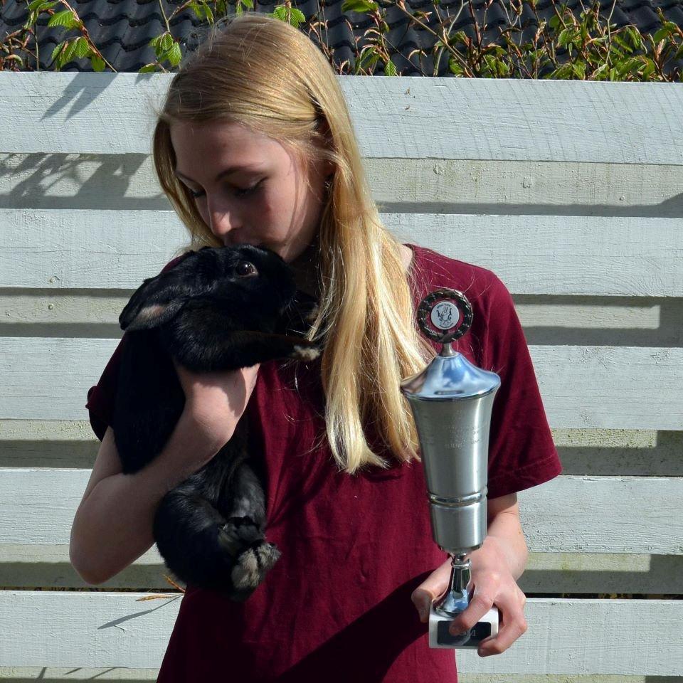 Kanin Milkas Ch. Koma Karma Kosmos - USM vindere 2012 <3 billede 7