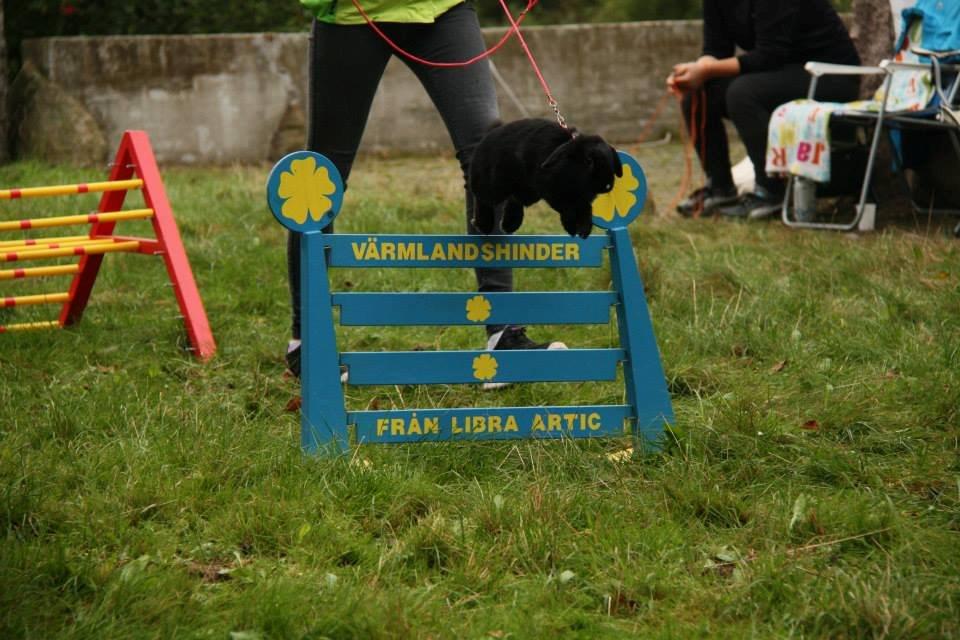 Kanin Wraae's Raiders Of The Lost Ark - Foto - Maria Gadkjær billede 4