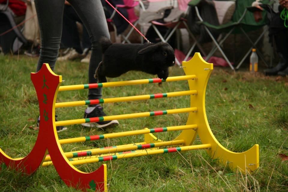 Kanin Wraae's Raiders Of The Lost Ark - Foto - Maria Gadkjær billede 5