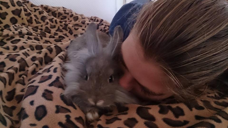 Kanin Skipper<3 billede 6