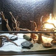 Hestespringer Hopper