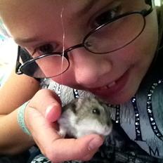 Hamster Hektor 
