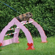 Kanin Kaninbyens Diablo >> Diablo <<