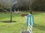 Kanin Elmelys Grand Whoops - Foto: Mette B 