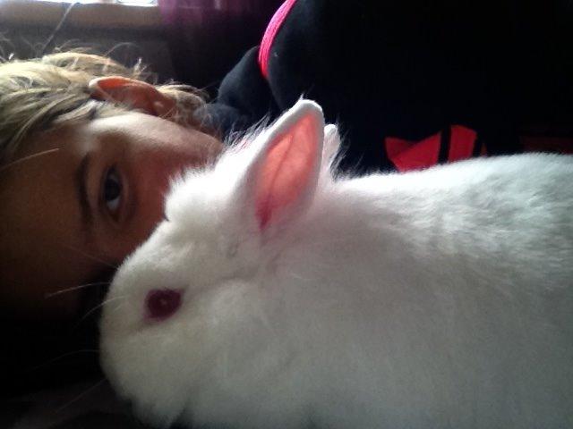 Kanin Snowball billede 11