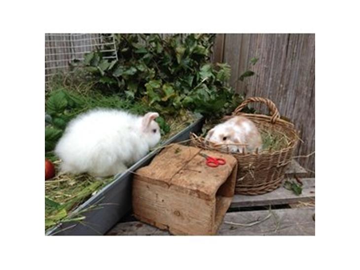 {{currentPhoto.altText}} billede {{currentPhoto.number}}