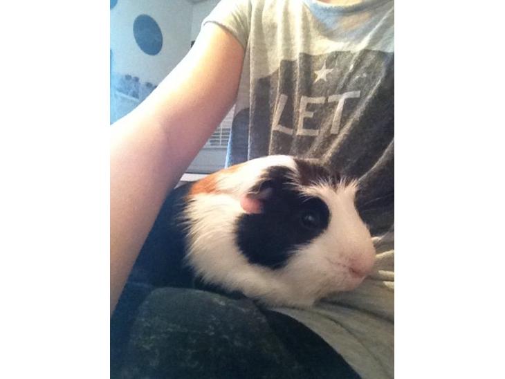 {{currentPhoto.altText}} billede {{currentPhoto.number}}