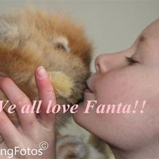Kanin Fanta Phuss Forever Love