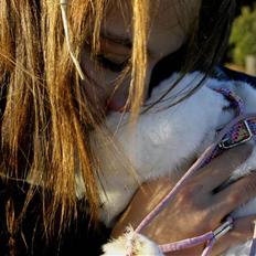 Kanin Zhiva The Diva